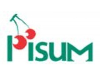 Pisum Foods focuses on providing food services