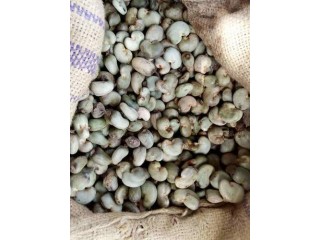 We sell quality Sesame Seeds and raw Cashew nuts