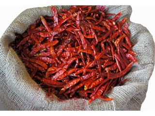 We Export Fresh Chillies at affrodable price