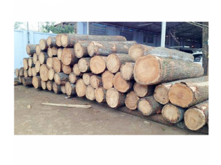 Exporters of  wood timbers